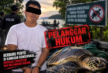 headline-foto